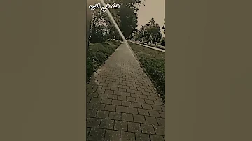 من ارض هولندا في الغربه لما تطلب تروح على غير بلد نتيجه زعل في زعل حالات وتساب 