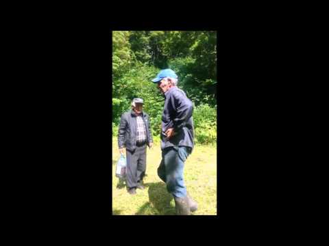 შქმერი 29.08.15