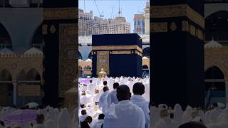 Download Lagu Jummah Namaz at Kaaba sharif❤️ | October 13th 2023 #makkah #madina #islam #allah #islamicstatus MP3 Download Lagu Jummah Namaz at Kaaba sharif❤️ | October 13th 2023 #makkah #madina #islam #allah #islamicstatus MP3