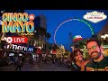 CINCO DE MAYO in Las Vegas LIVE (It’s CRAZY &amp; WINDY!)