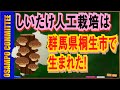 【前編】椎茸の人工栽培方法を開発！森喜作博士（群馬桐生市出身）の偉大過ぎる功績に迫る！【馬でも分かる群馬県講座】