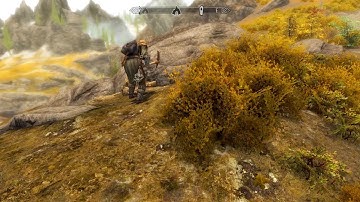 Funny random encounter in Skyrim