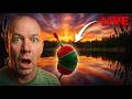 🔴 LIVE Fishing — Something HUGE Is Under That Float... | Sunset Lake Ambience 24/7