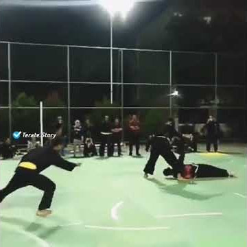 story wa sambung persaudaraan (ikspi tk 2 vs siswa psht jambon)