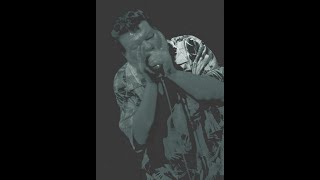 James Harman @ Waterfront Blues Festival, USA (1996)