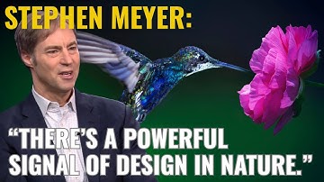 Stephen Meyer: There