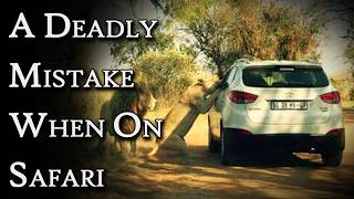 When Safaris Go Wrong | Fascinating Horror