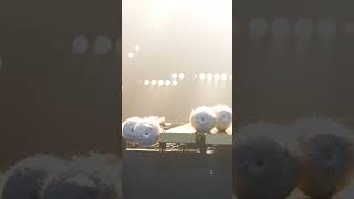 Rehearsal footage for you