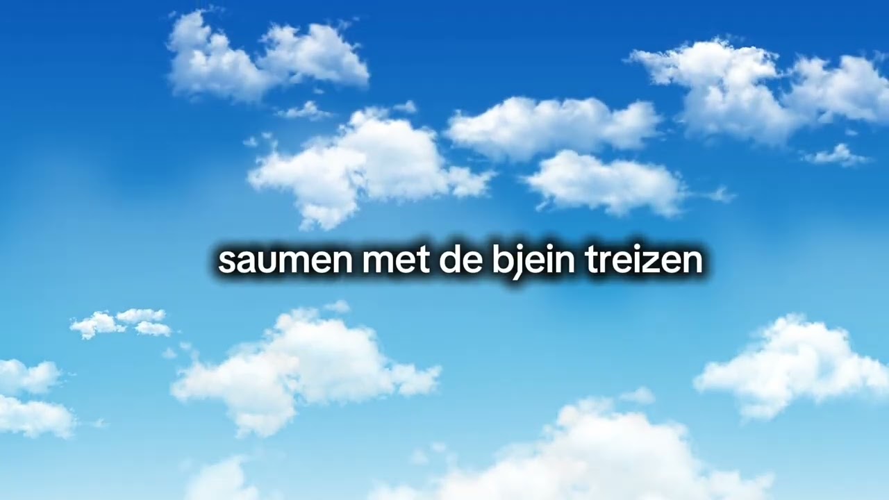 Bjein Treizen - Saumen met de Bjein Treizen (stoetlied 2025)