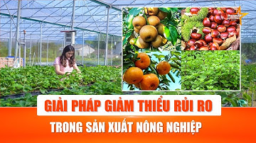 Tăng cường tiếp nhận thông tin - giảm thiểu rủi ro trong nông nghiệp