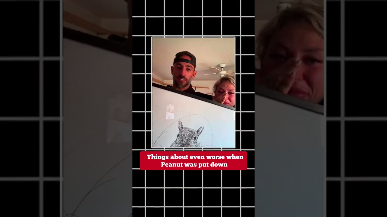 Explore the Story of PNUT Coin meme Crypto