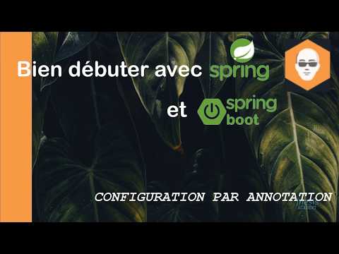 Vidéo: À quoi sert l'annotation @value au printemps ?