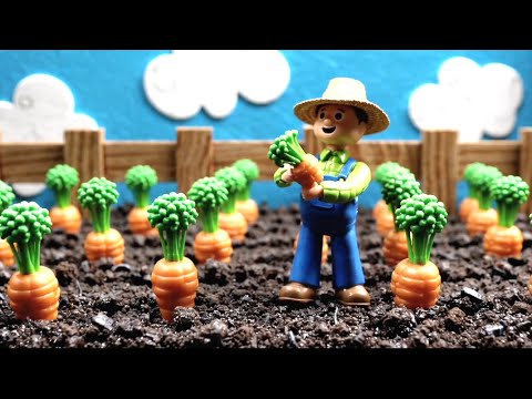 농부의 당근 농사 과정을 배워봐요, 교육 컨텐츠 Learn the Farmer&amp;#<strong>39</strong>;s Carrot Growing <strong>Process</strong>, Educational Content