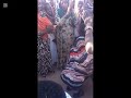 ابقزة السودان 