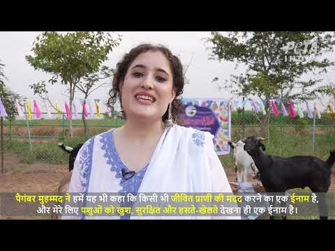 दावत-ए-ईद!