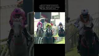 Download Lagu 🔥 Luxury Horse Racing Watch for Men – PINDU NH35A Design! 🕒💎 MP3