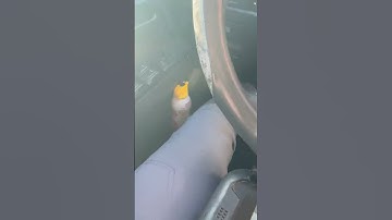 2007 Chevy Colorado new remote not an instructional video #allockandkeyco #locksmithlife ￼