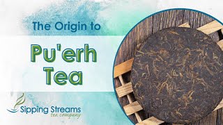 The Origin to Pu'erh Tea