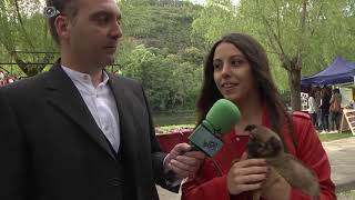 Fiesta de la Cereza - Reportaje