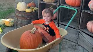 Ellie's Pumpkin Patch Adventure: 2022