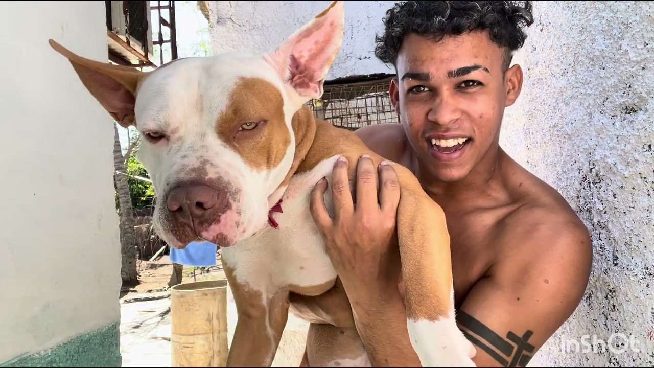 Así se vive en Cuba como joven cubano 