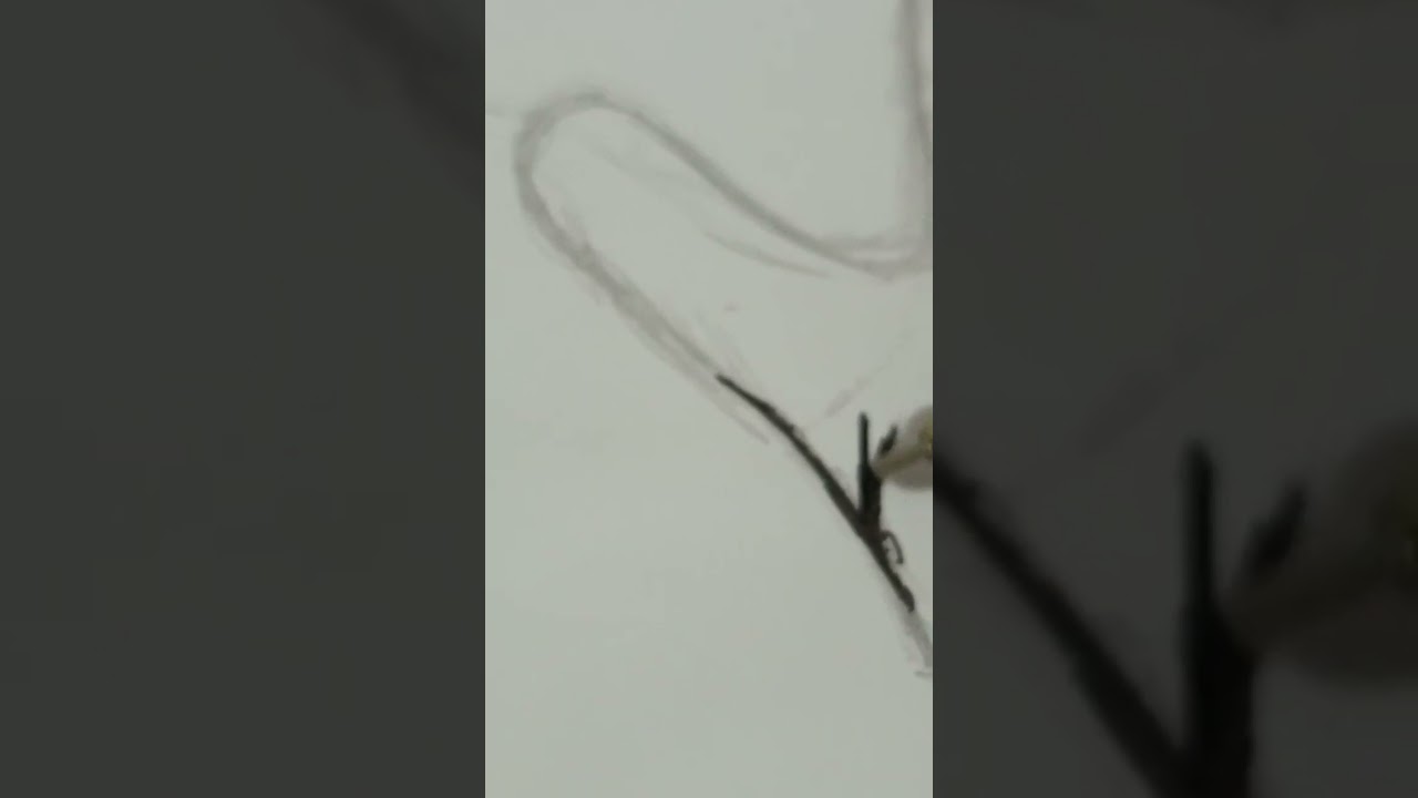 Desenhando desenhos sem referência parte 1