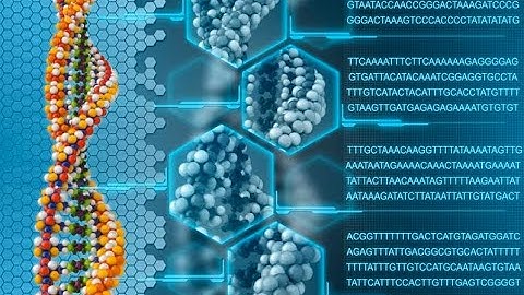 Introduction To Bioinformatics For Children