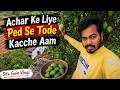 Achar Ke Liye Ped Se Tode Kacche Aam | Gaon Ka Desi Masti Vlog | Situ Gain Vlogs