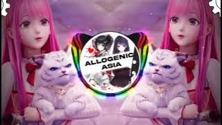 DJ Dalamo Dalamo Viral Tiktok Terbaru 2022 (DISCO HUNTER)