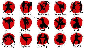 Every MAJOR MARTIAL ART  Explained  in 10 Minutes