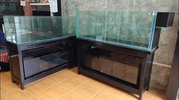 ปอ Why Cake - ติดตั้งตู้ปลา 60" 2 ใบพร้อมทำระบบ O4FS (เลี้ยงปลาปอมปาดัวร์) Set 2