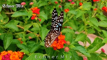 {واذكرن ما يتلى في بيوتكن من آيات الله والحكمة إن الله كان لطيفا خبيرا - سورة الأحزاب}