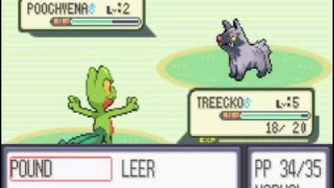 Pokemon Ruby Hack:Fully hacked sprite