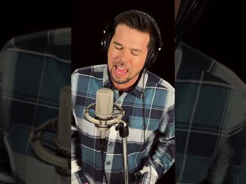 The Wanderer Live at Metaal Kathedraal June 