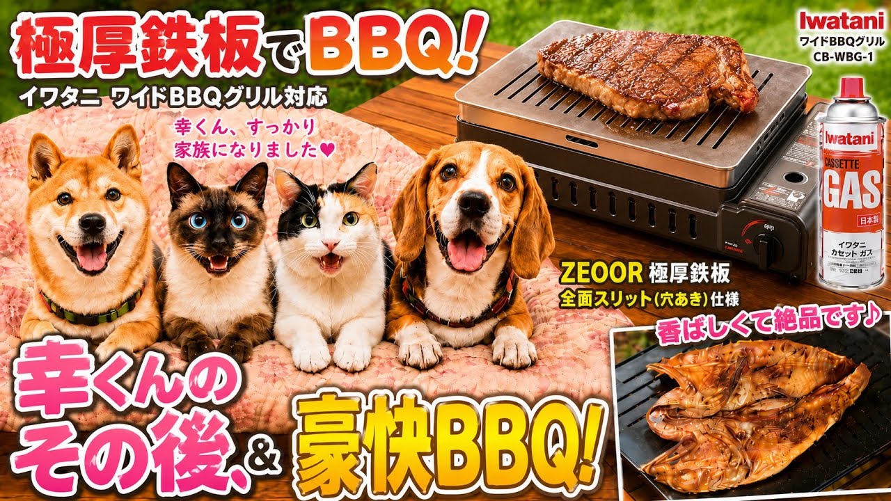 Massive BBQ with an Extra-Thick Griddle!] The Iwatani x ZEOOR