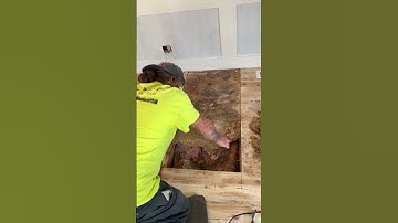 4 Things to Know When Repairing a Mobile Home Sub Floor