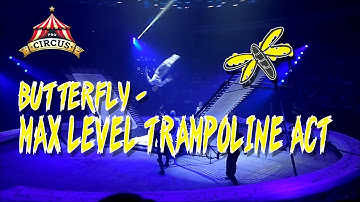 Butterfly Trampoline Act | Great Moscow Circus | Parallel Trampolines (2017)