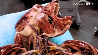 The Gorilla Experiment Hollow Man 2000 Screenfinity