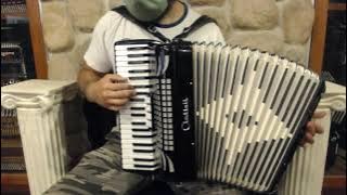 4889 - Black Cintioli Piano Accordion LM 41 120 $799
