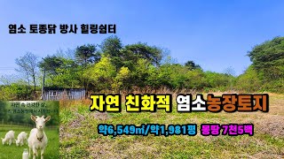 #봉화토지매매 산촌오지에서 시작하는 새로운 삶! 경북 봉화군 법전면 군유림 둘러싸인 두메산골 한적한 오지에서 염소 토종닭과 함께하는 자연속 청정힐링쉼터 싼땅매매 (봉화-2557)