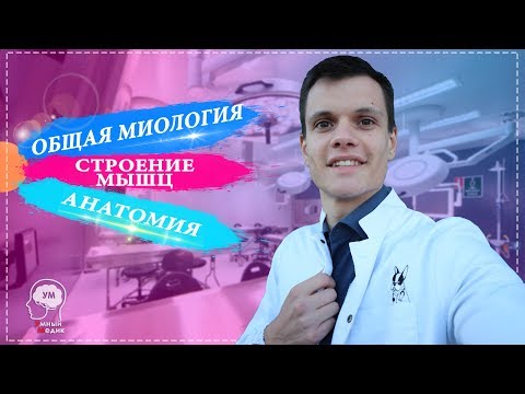 ОБЩАЯ МИОЛОГИЯ | СТРОЕНИЕ МЫШЦ | АНАТОМИЯ МЫШЕЧНОЙ СИСТЕМЫ