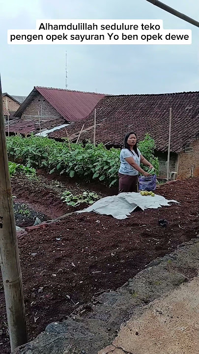 Alhamdulillah, I feel the harvest.