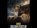 Animals With Real Superpowers