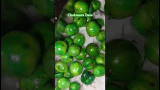 Tripuri Cuisine Chakumra Dalo #food #tripurifood #tripuristyle #tripura #northeastindia