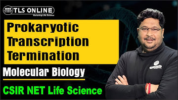Prokaryotic Transcription Termination I Molecular Biology I CSIR NET Life Sciences I