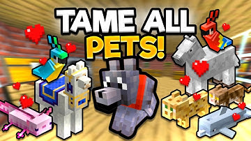 Ultimate Guide To PETS In 1.21: How To Catch & Tame Them All