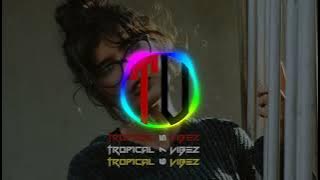 Bibao ft. Lonna - Waigho (Michaelz AfroChill Remix 2023) 🇻🇺