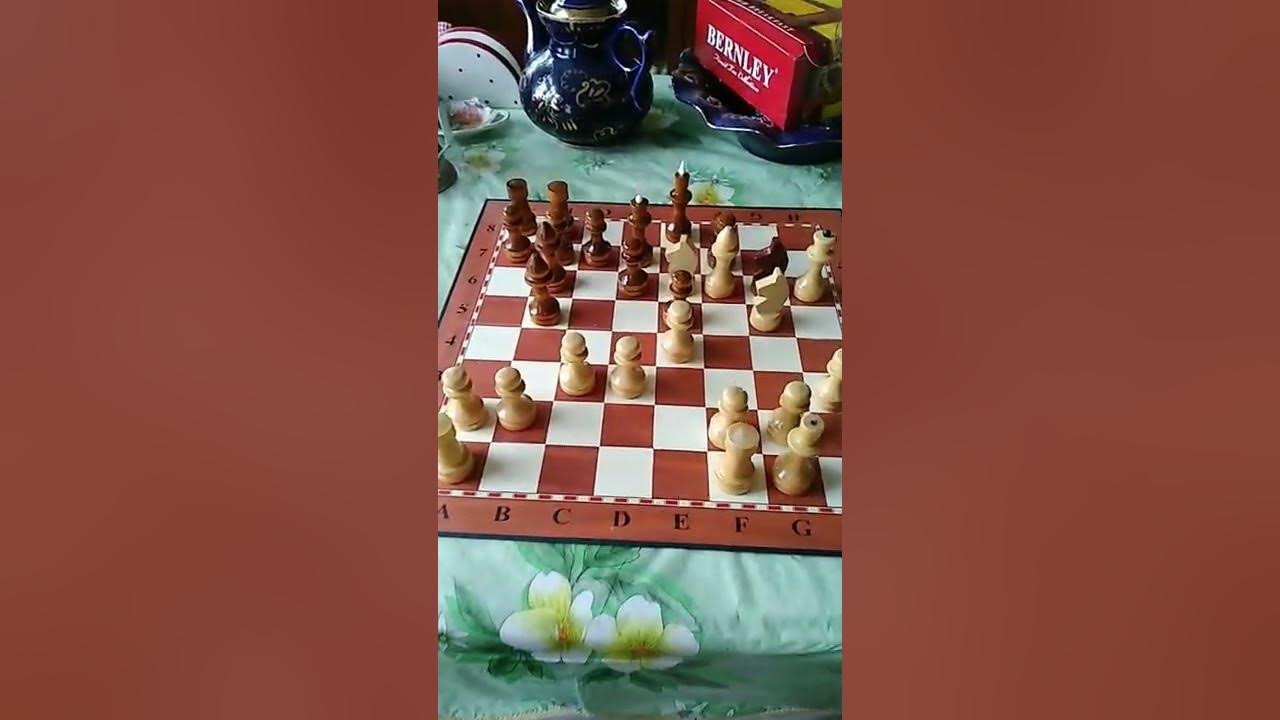 Шахматы в музее Ленина Казань