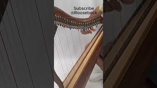This 29-String Roosebeck Harp Sounds Like Pure Magic ✨ #shorts