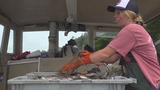 New commercial fishing coalition casts wide net to support next generation of fishermen
